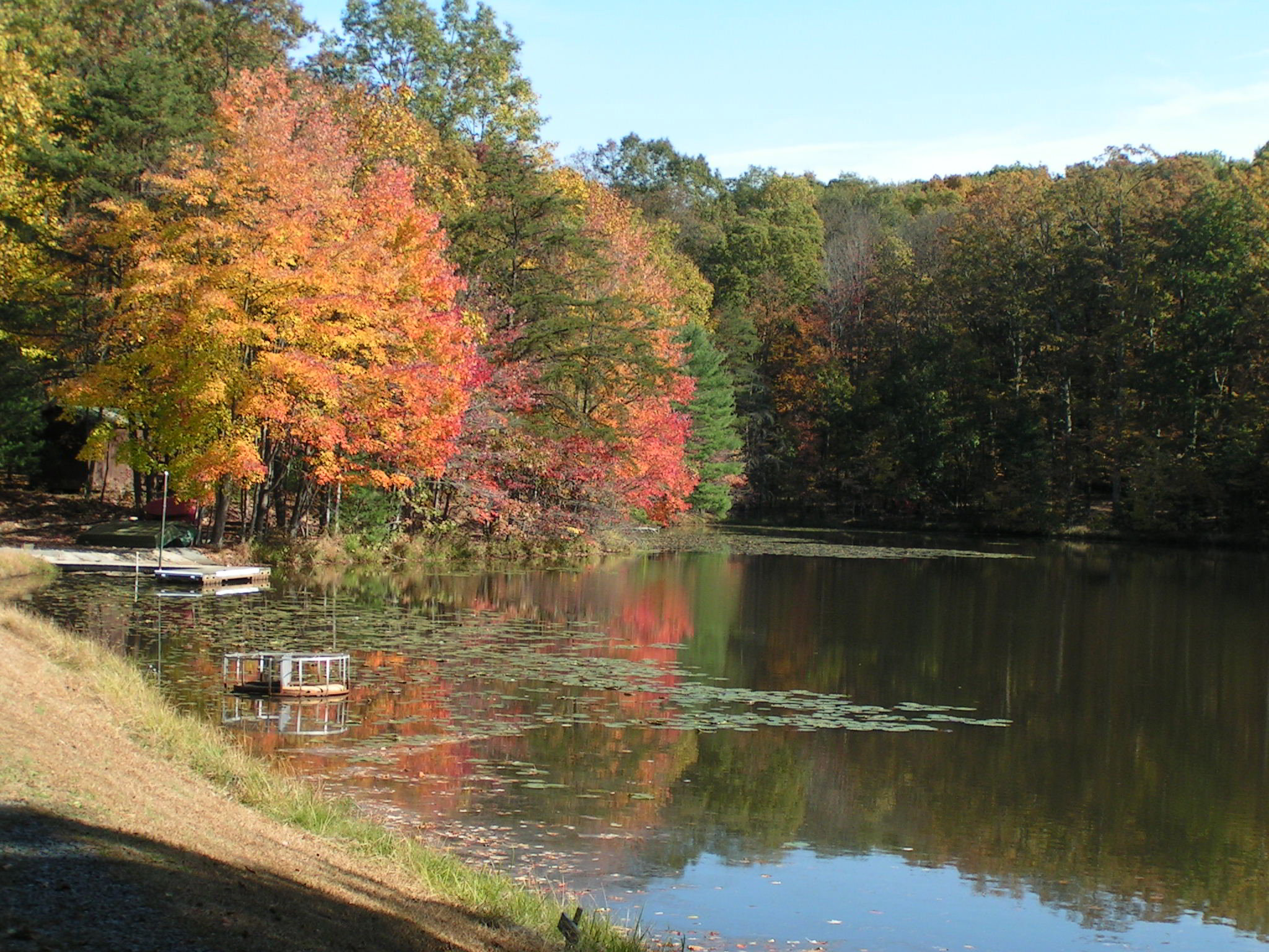 Go camping at Lake Heron