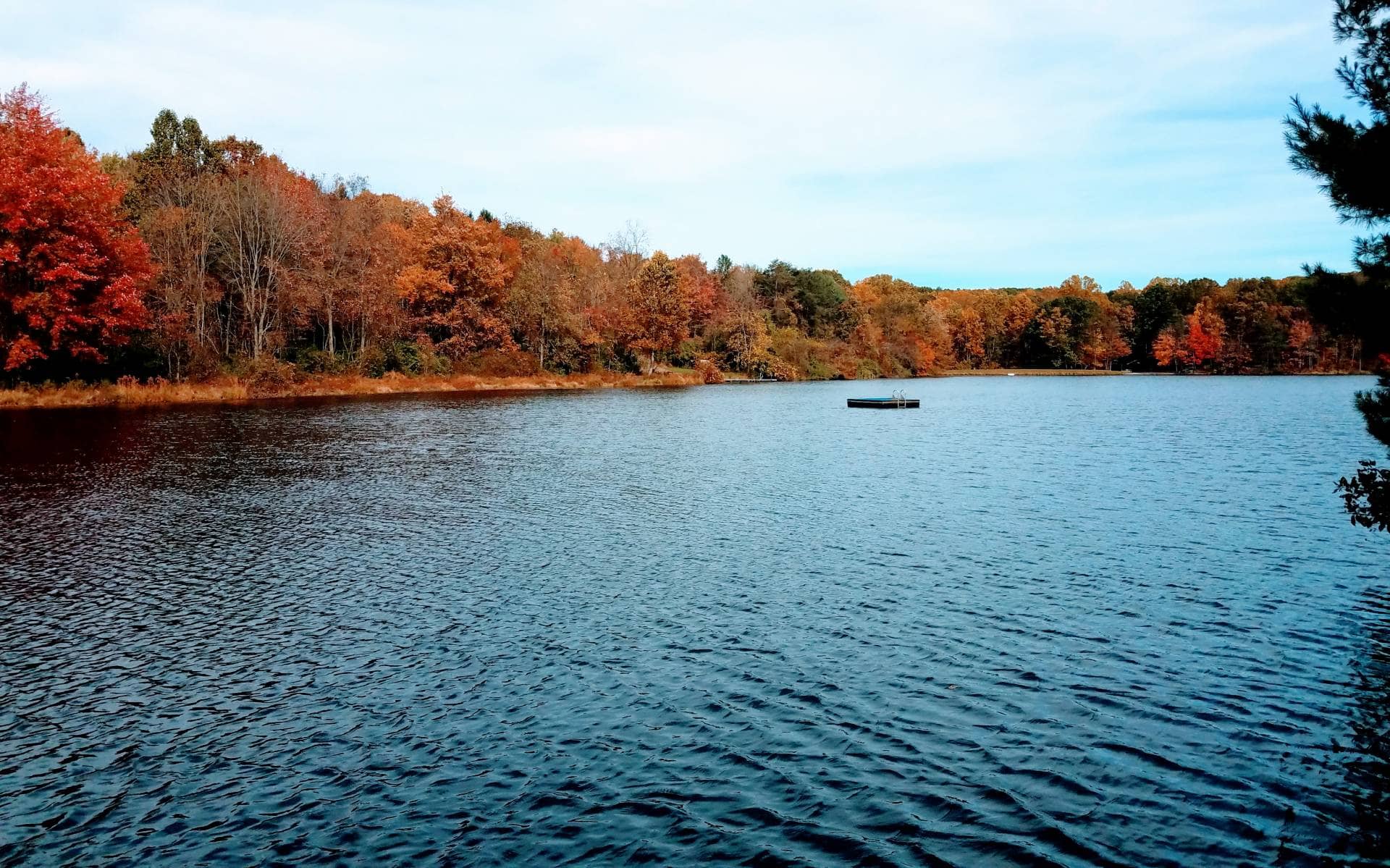 Lake Heron, Liverpool, PA
