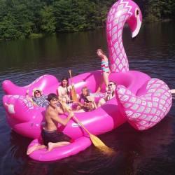 pink flamingo raft