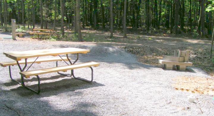 campsite with picnic table and fire ring